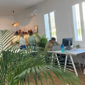 Looking through plants at DeskSpace Coworking Mojacar. Man at a desk working with laptop and external monitor. Two ladies in the kitchen area chatting.